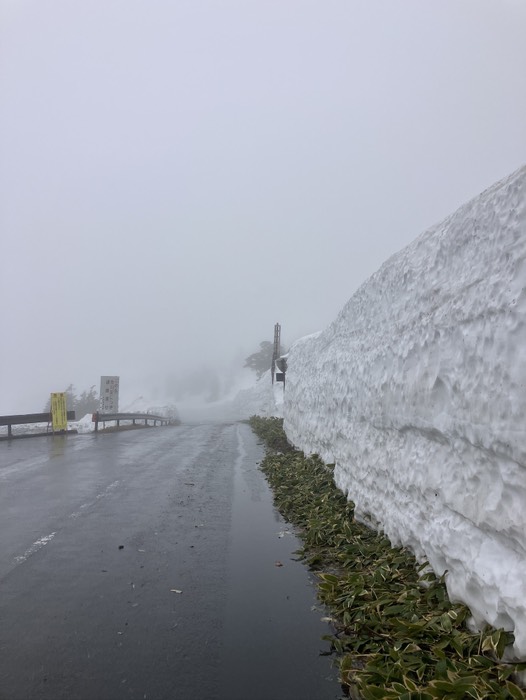 ここも結構な高さの雪壁