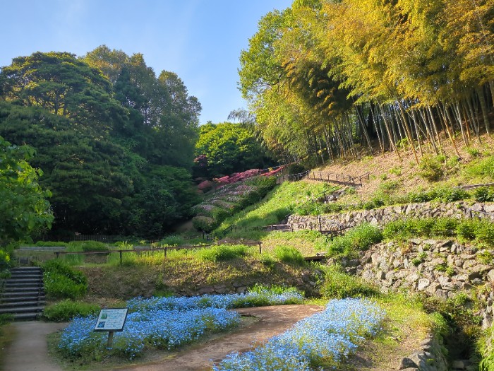 白野江植物公園