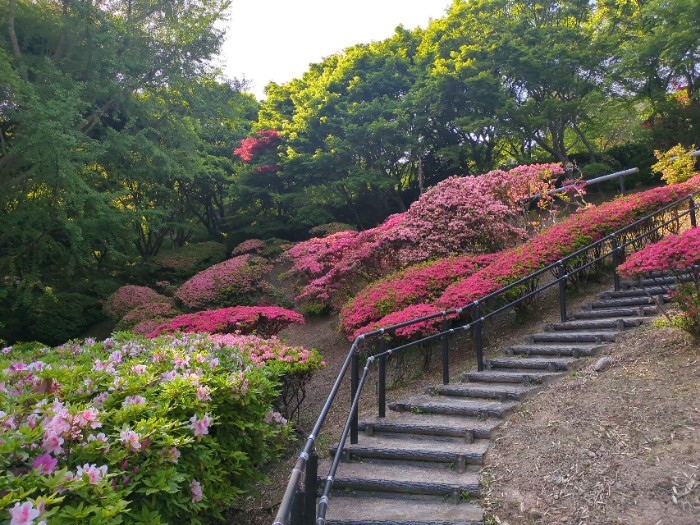 花の谷