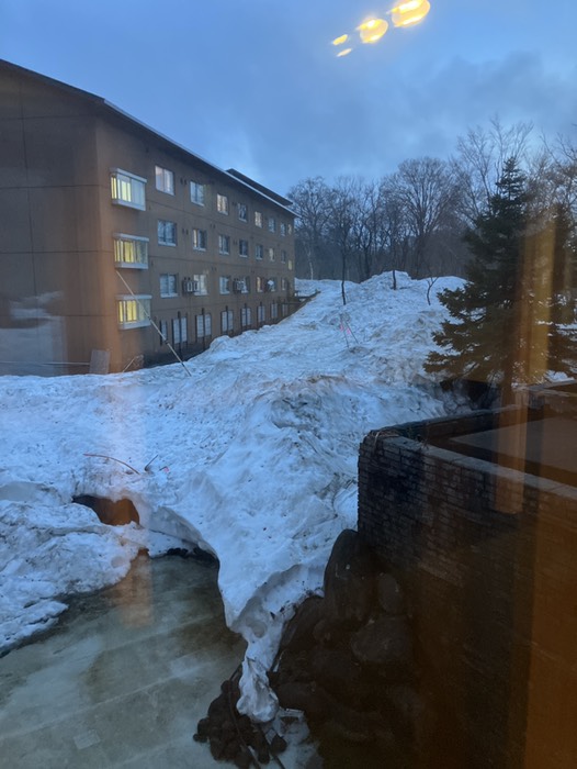 すごい雪だなぁ