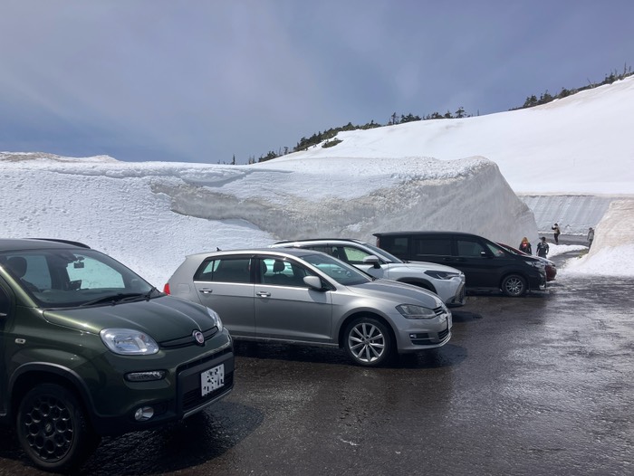 雪の回廊見に降りました