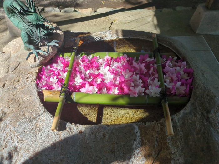 立志神社 花手水