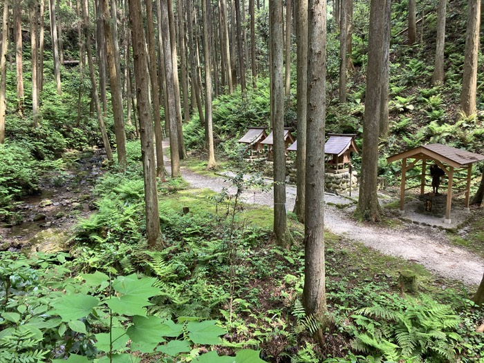 入れなかった…