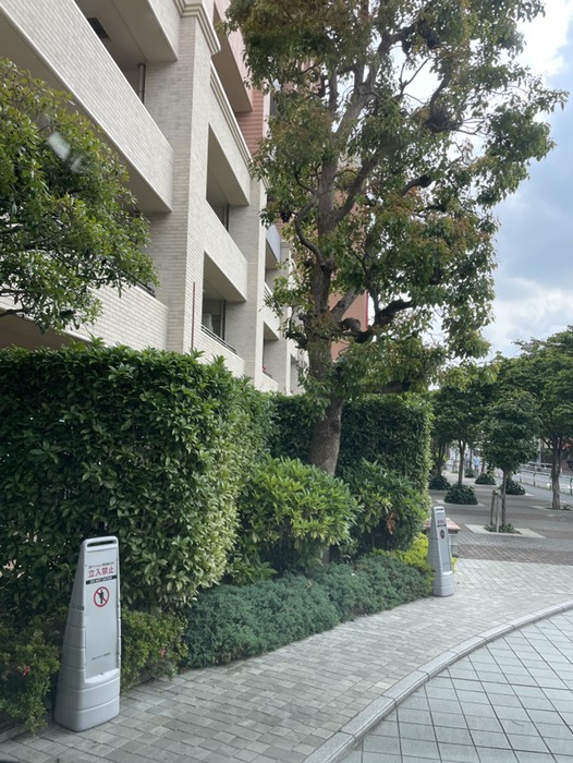 1.入江さん