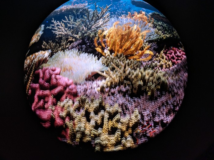 ブルーオーシャン・ドーム