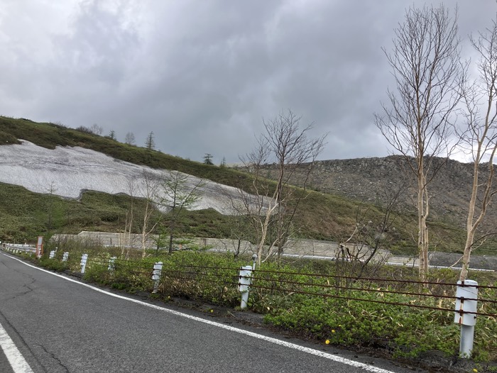 おそらくこの辺りが雪崩おきた所