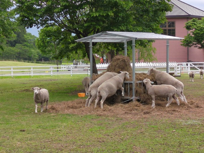 ひつじのおうち