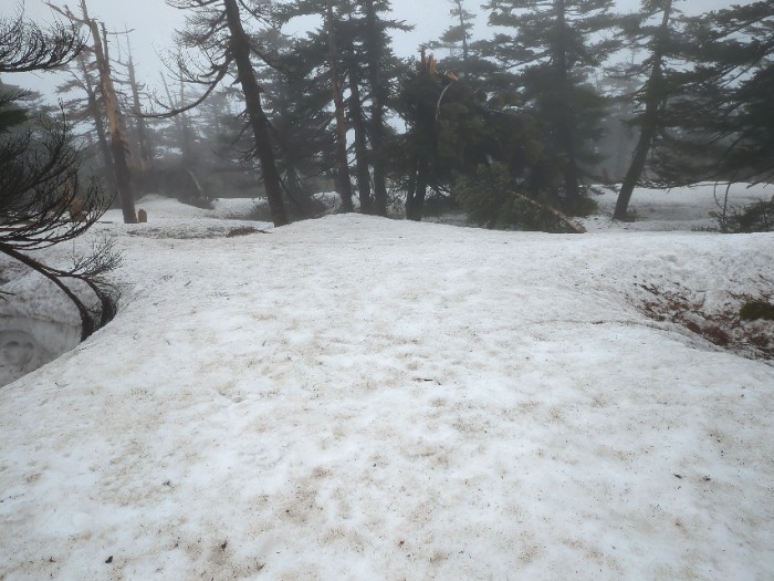 ドラゴンアイヘ