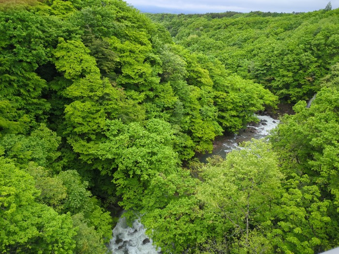 松川渓谷 森の大橋より