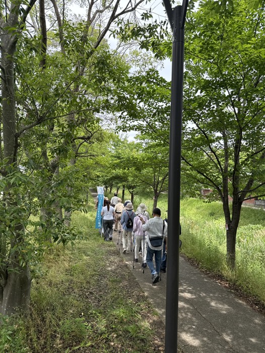 涼しい木陰の道