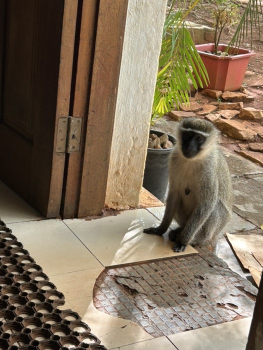 バンジージャンプの場所