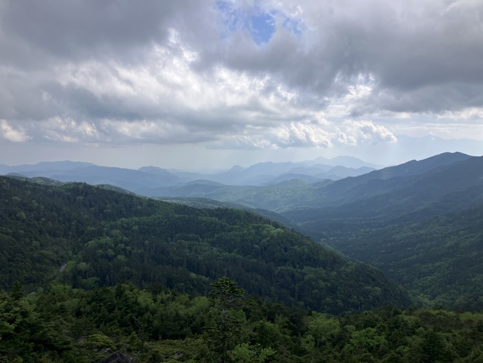 せっかくなので登りましたょ