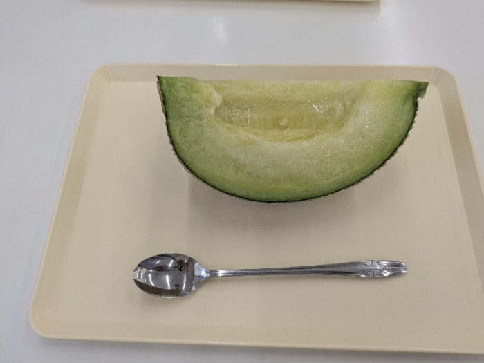 メロン試食