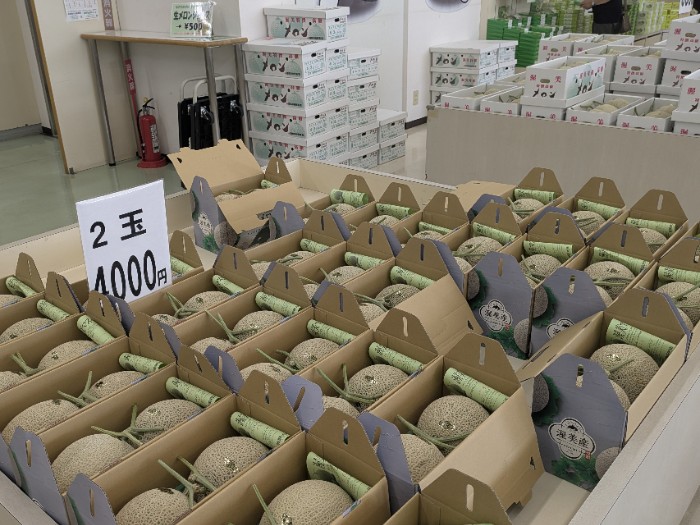 ニュー渥美観光