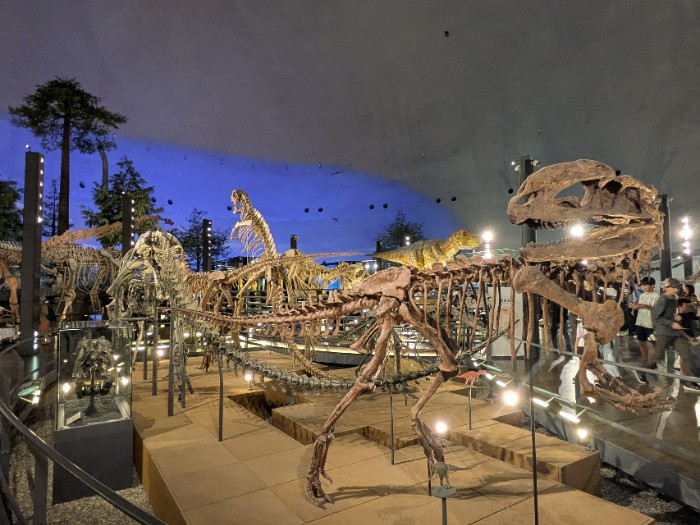 福井県立恐竜博物館