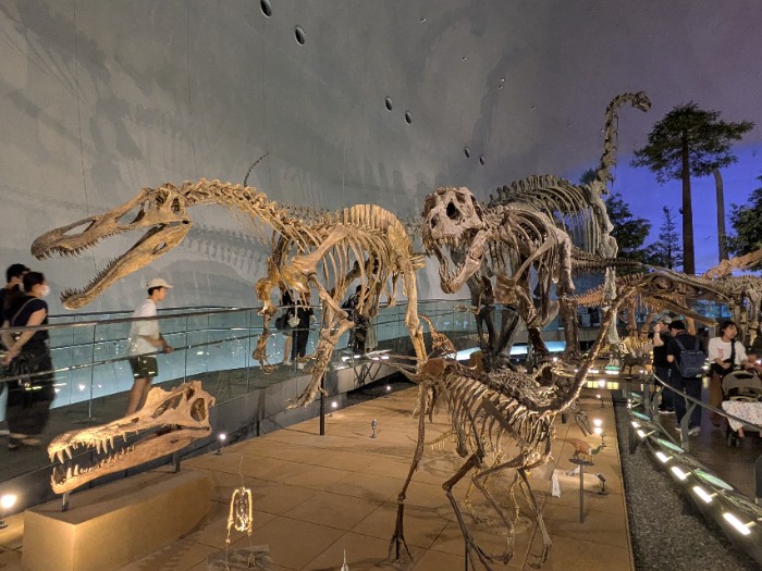 福井県立恐竜博物館