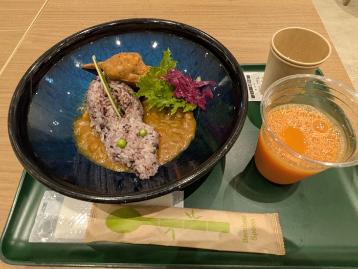 スピノサウルスカレー