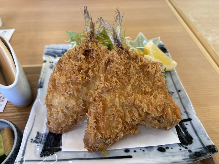 道の駅　富楽里とみやま②