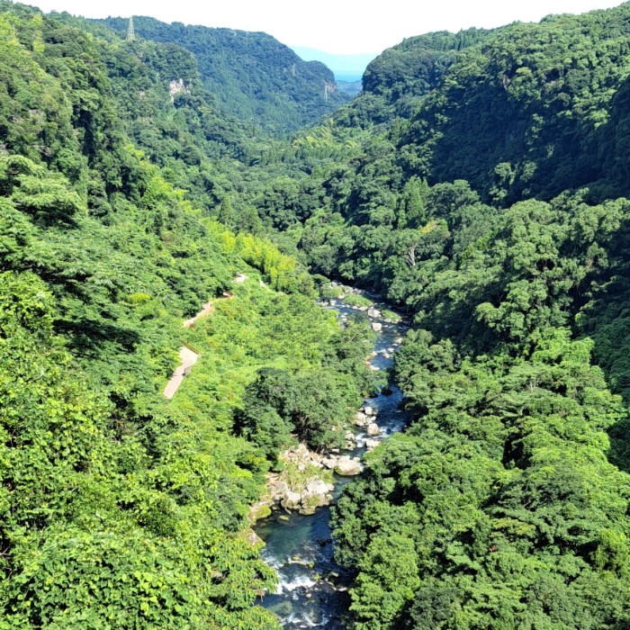雄川の滝のつり橋から。