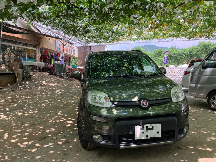 桃買いました🍑