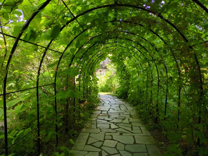 マザーズガーデンへ