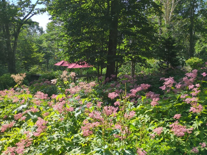 大雪 森のガーデン