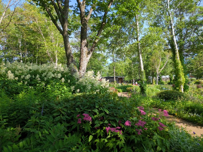 大雪 森のガーデン