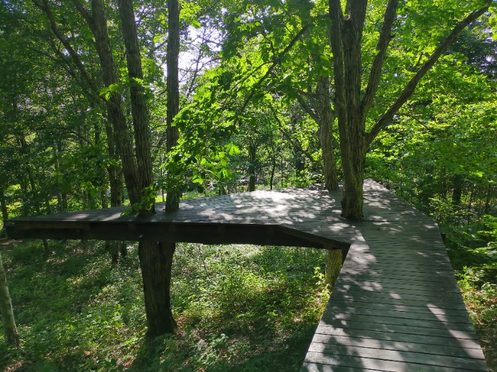 鳥の目になるテラス