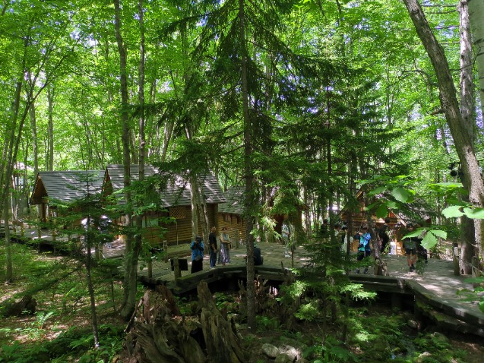 ニンクルテラス