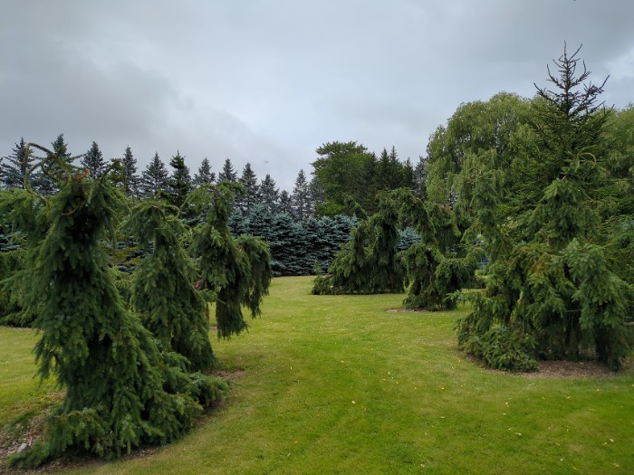 モンスターガーデン