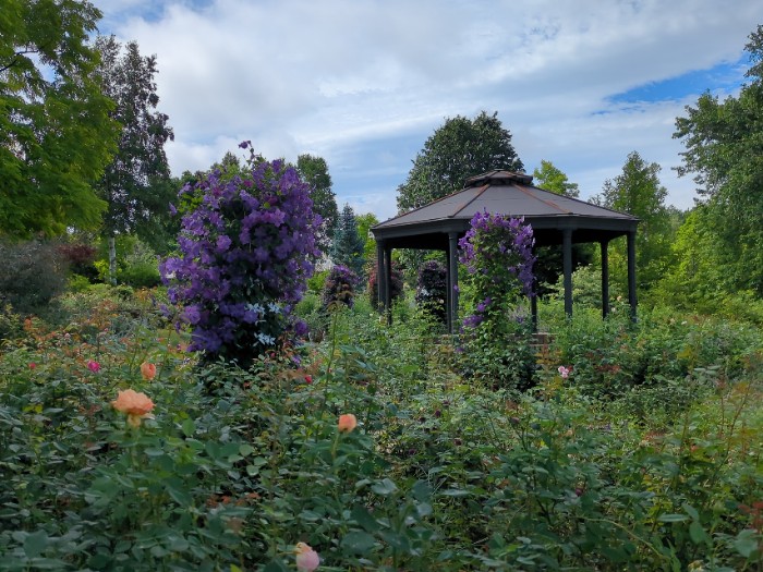 ローズガーデン