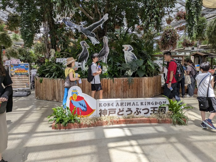 神戸アニマルキングダム
