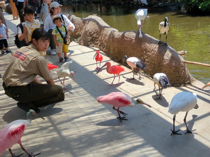 アフリカの湿地