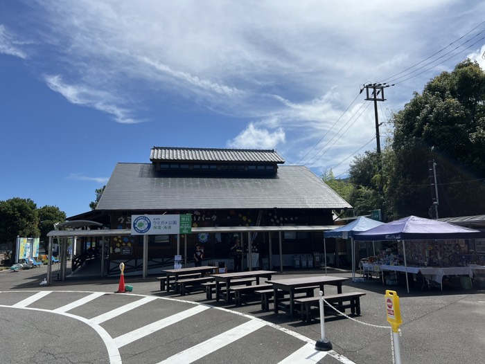 道の駅紀宝ウミガメ公園
