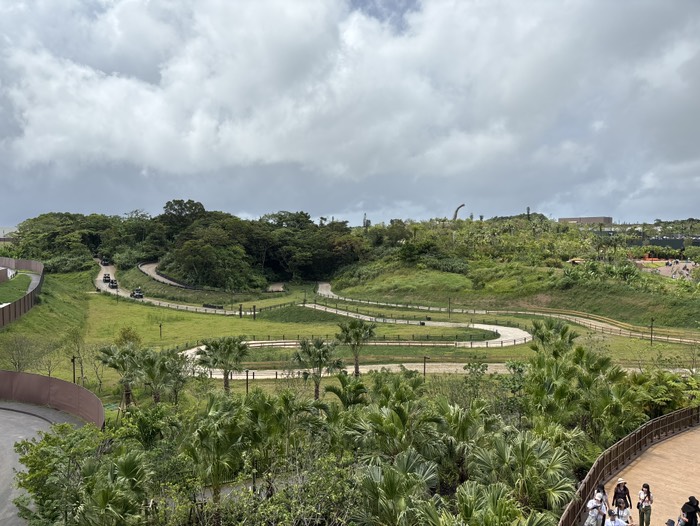 ジャングリア⑥