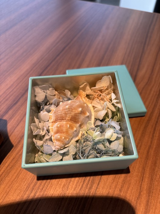 ラボンバンス②