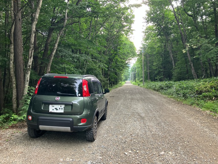 万沢ストレート