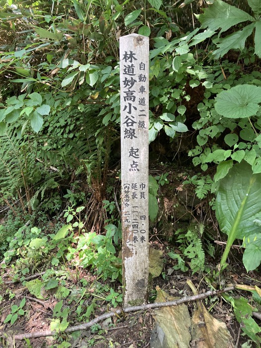 林道妙高小谷線突入！