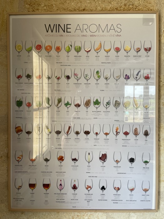 ワインの香り表