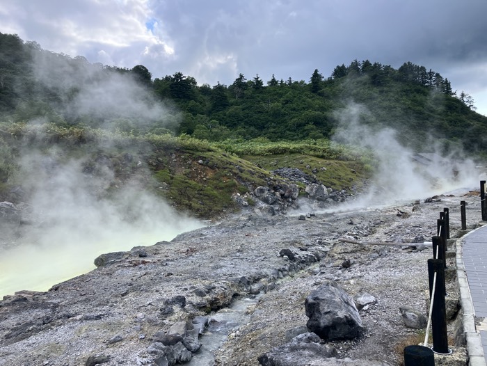 せっかくなので歩いてきました