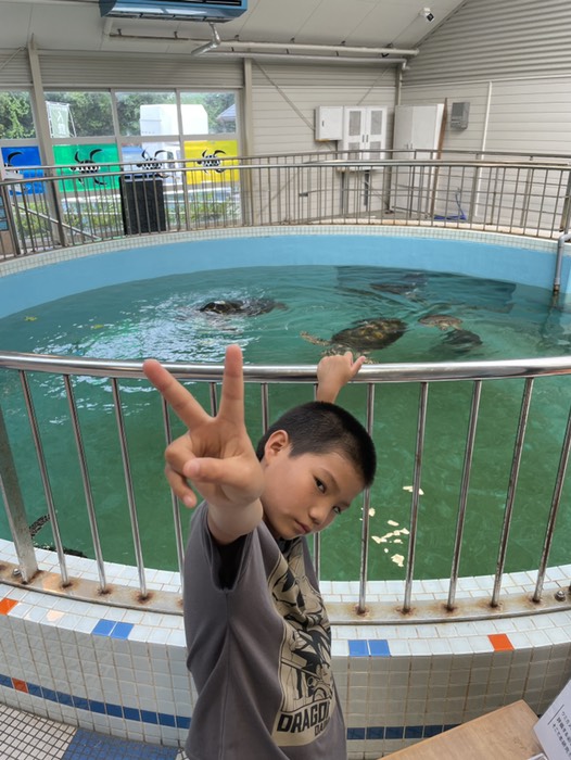 ウミガメ水族館