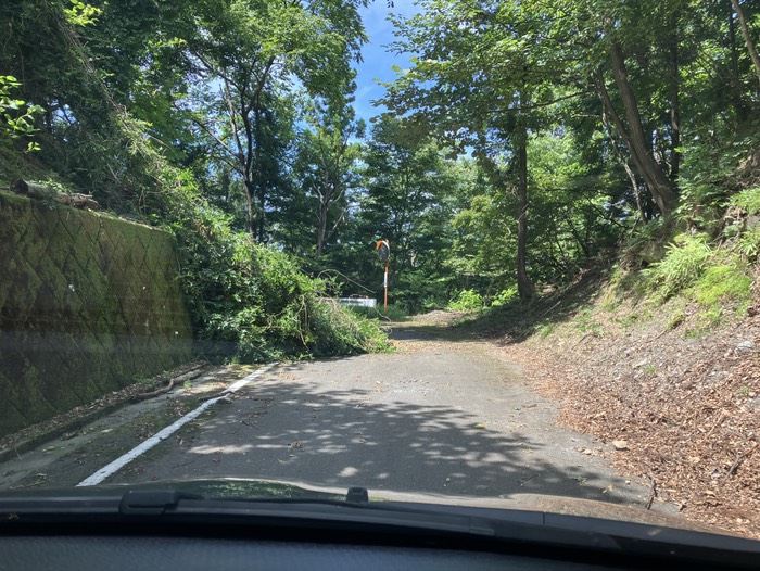 ちょくちょく倒木などありました