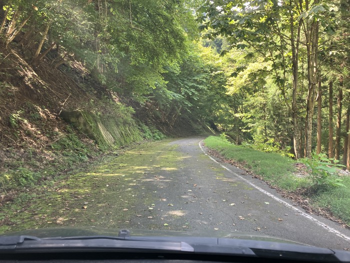 道路に苔が蒸してるということは…