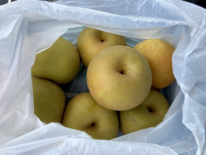 幸水なし ¥500/袋