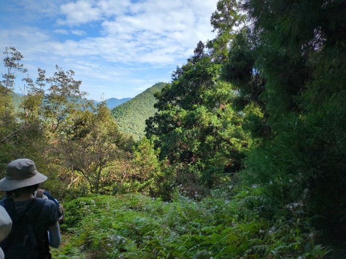 筏師の道 ハイキング