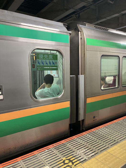 あとは見慣れた電車