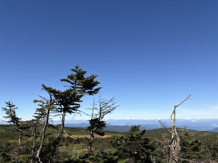 八幡平山頂展望台より1