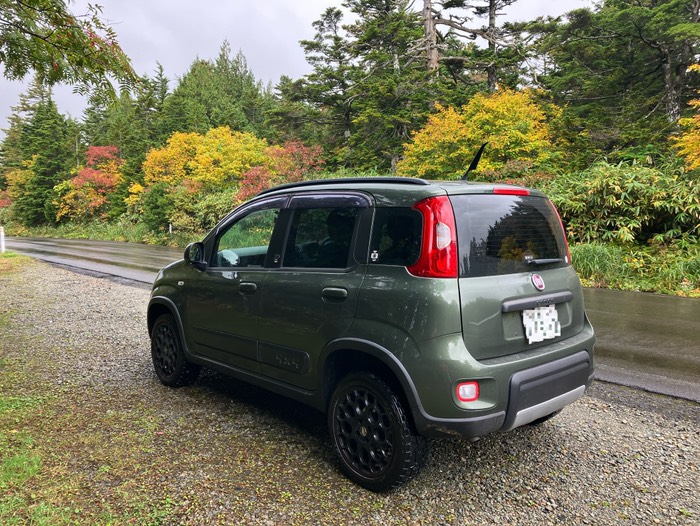 上の方は葉っぱが色付いてました🍁