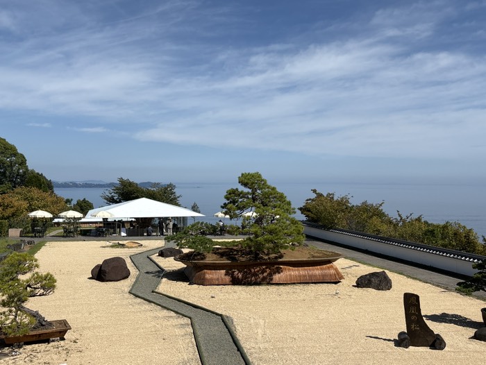 アカオフォレスト①