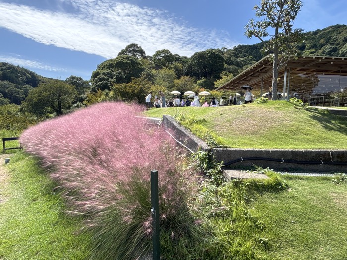 アカオフォレスト⑥